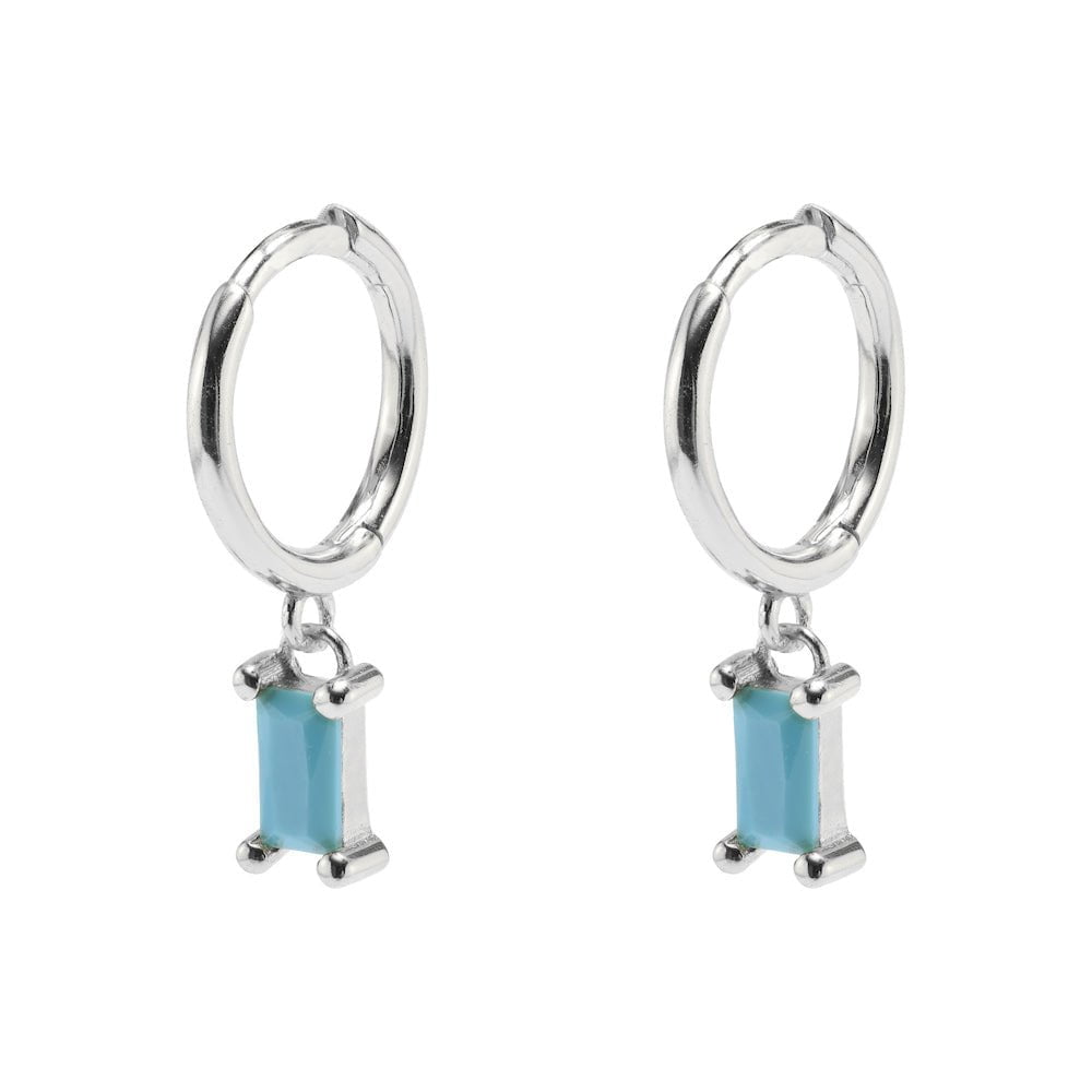 Baguette hoops discount