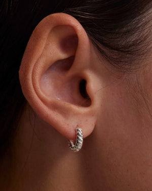 Kirstin Ash Earrings Cypress Hoops