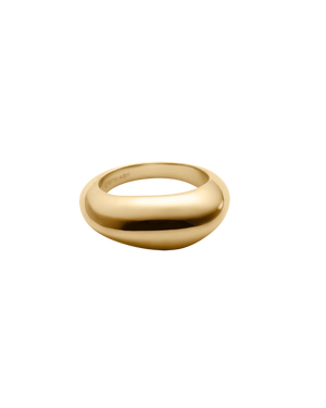 Kirstin Ash Rings Gold / 6 Kirstin Ash Within Motion Dome Ring – Gold & Silver