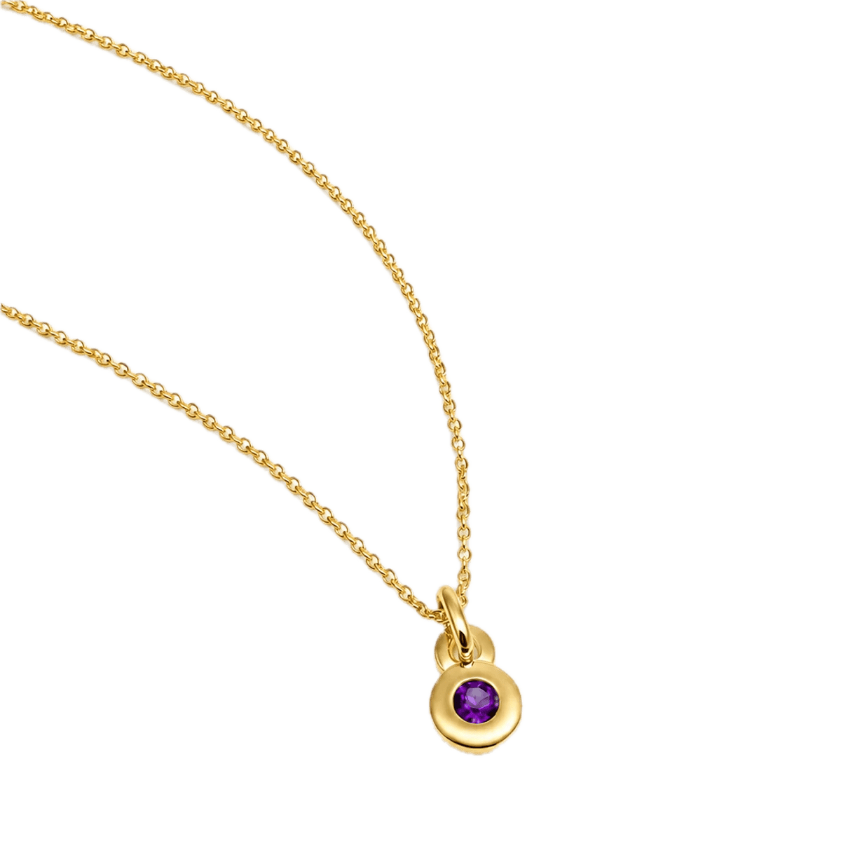 najo-necklaces-gold-najo-february-amethyst-birthstone-necklace-sterling-silver-gold-plated-1263585189
