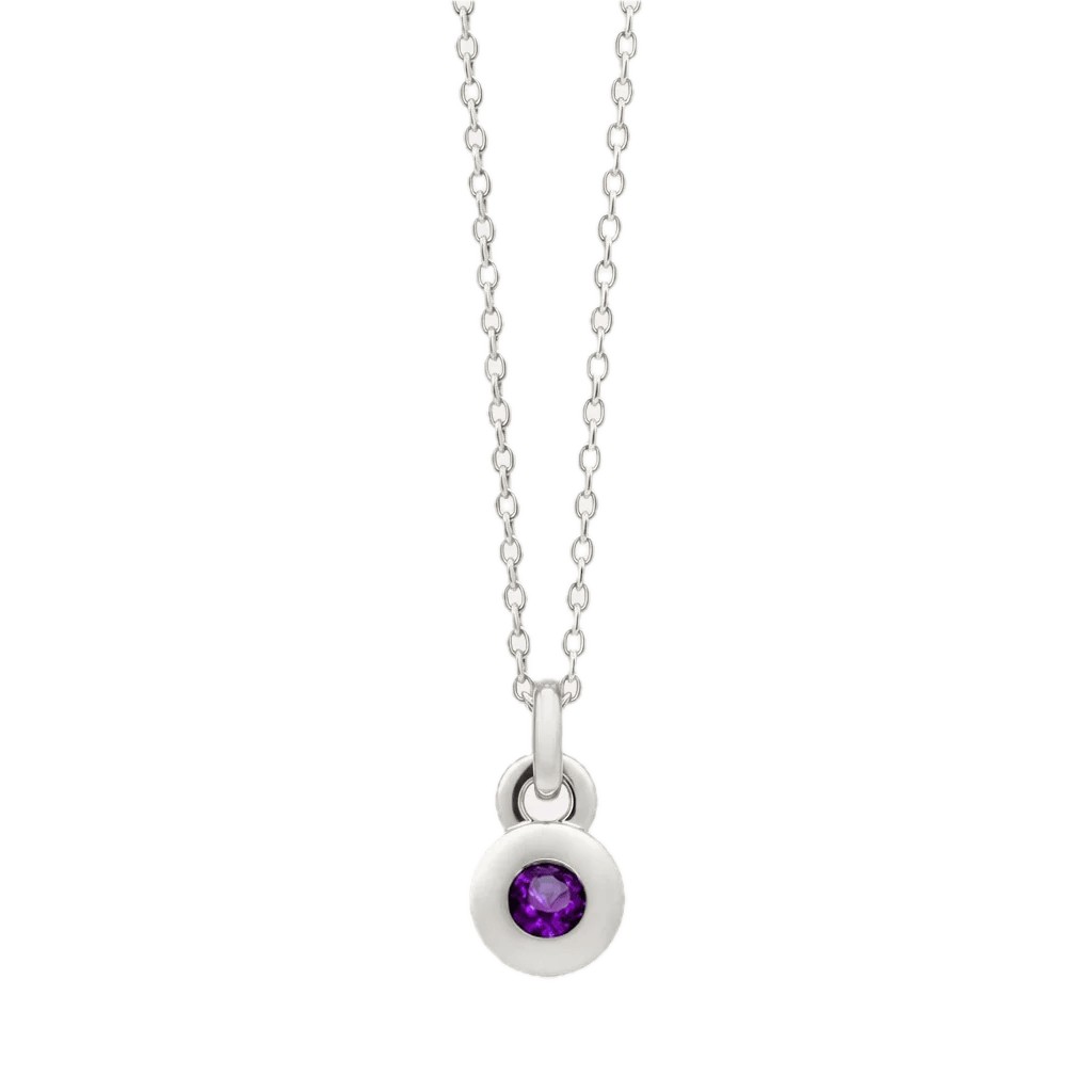 Najo Necklaces Najo February Amethyst Birthstone Necklace – Sterling Silver & Gold Plated