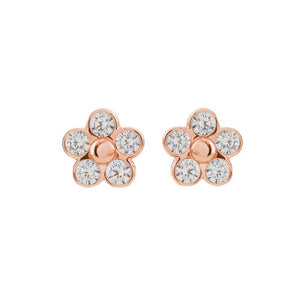 Sybella Earrings Rose Gold SYBELLA SHILOH EARRINGS